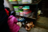DSC03105