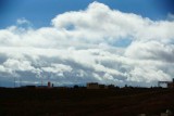 DSC03173