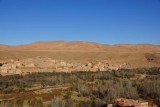 DSC03559