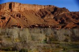 DSC03581