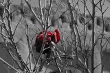 DSC03620