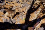 DSC03907