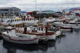 DSC04694