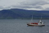 DSC04712