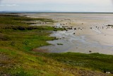 DSC04980