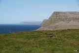 DSC05013