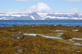 DSC05253