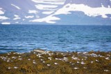 DSC05259