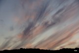 DSC05265