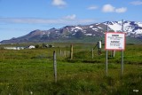 DSC05290