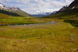 DSC05331