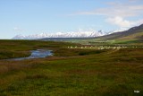 DSC05349