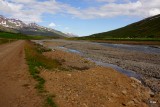 DSC05351