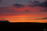 DSC05388