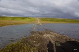DSC05496