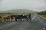 DSC05517