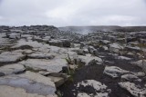 DSC05534