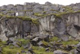 DSC05551