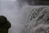 DSC05556