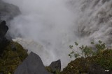 DSC05559