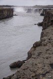 DSC05564