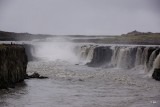DSC05568