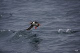 DSC05582a