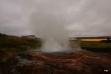 DSC05618