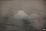 DSC05626