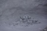DSC05699