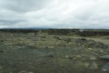 DSC05730