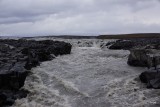 DSC05742