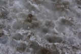 DSC05761
