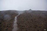 DSC05781