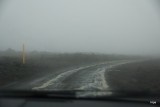 DSC05784
