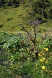 DSC06269