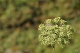 DSC06406