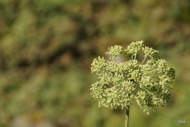 DSC06406