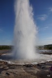 DSC06530