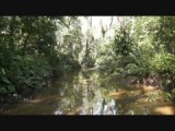 Warappakreek