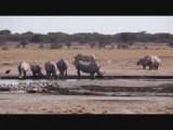 Khama Rhino Sanctuary
