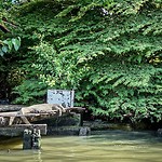 IMG_8752