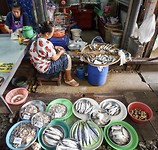 IMG_8775