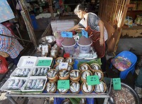 IMG_8761