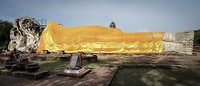 IMG_8888
