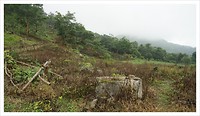 IMG_9523