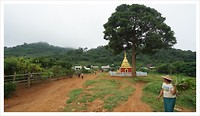 IMG_9528