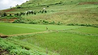 IMG_9651