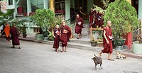 IMG_9851