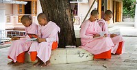 IMG_9784